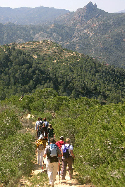 Nordic Walking y una ruta por Columbares para disfrutar de la naturaleza el fin de semana - 1, Foto 1