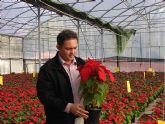 El Ayuntamiento de Lorca plantar este invierno 20.500 plantas para dar una imagen navideña a los jardines del municipio