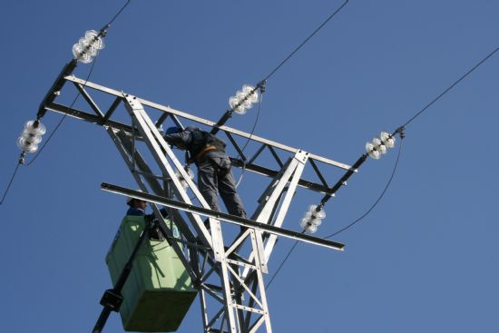Agricultura aborda en un curso la problemática de electrocución de aves en líneas eléctricas - 1, Foto 1