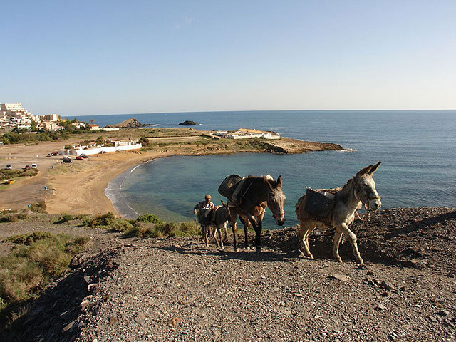 Acondicionan los accesos a Calblanque - 1, Foto 1