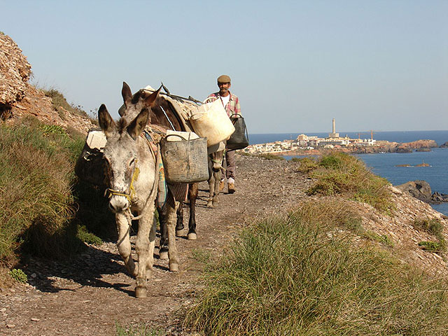 Acondicionan los accesos a Calblanque - 2, Foto 2