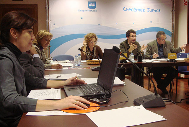 “Zapatero se niega a escuchar a la Región de Murcia en el Senado” - 2, Foto 2