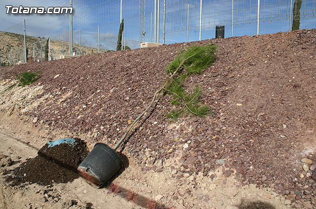 Plantan 30 rboles autctonos en la Ciudad Deportiva “Sierra Espuña” para celebrar el 30 aniversario de la Constitucin Española - 2