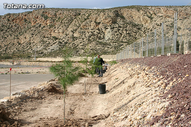 Plantan 30 rboles autctonos en la Ciudad Deportiva “Sierra Espuña” para celebrar el 30 aniversario de la Constitucin Española - 22