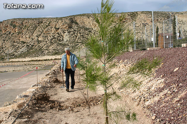 Plantan 30 rboles autctonos en la Ciudad Deportiva “Sierra Espuña” para celebrar el 30 aniversario de la Constitucin Española - 24