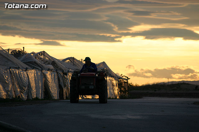 Inauguran la rehabilitacin y pavimentacin del firme del camino de la Casa de Cervantes-Deilor - 5