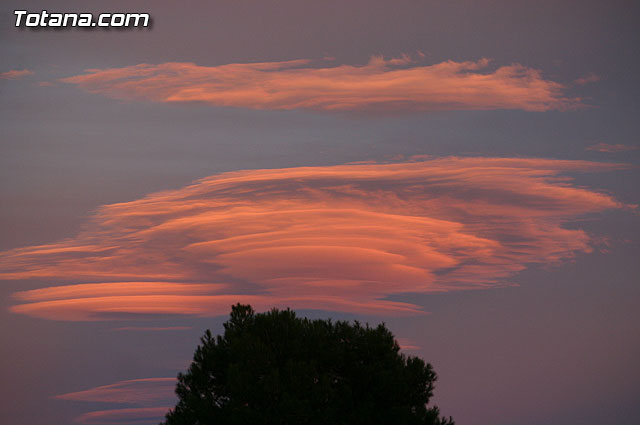Inauguran la rehabilitacin y pavimentacin del firme del camino de la Casa de Cervantes-Deilor - 20