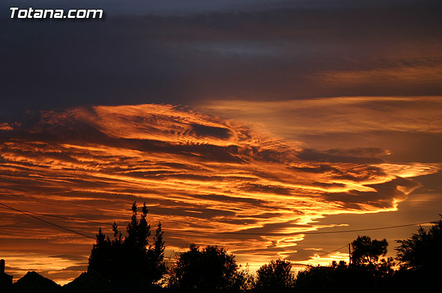 Inauguran la rehabilitacin y pavimentacin del firme del camino de la Casa de Cervantes-Deilor - 22