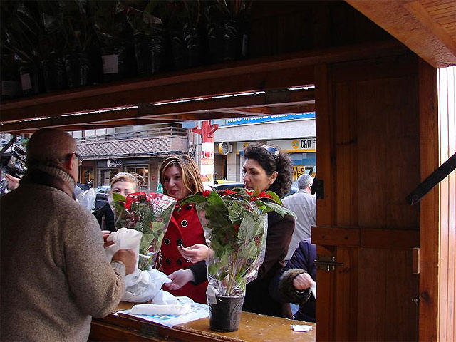 La Asociación de Alzheimer vende flores de pascua en una caseta benéfica de la Alameda de la Constitución - 2, Foto 2