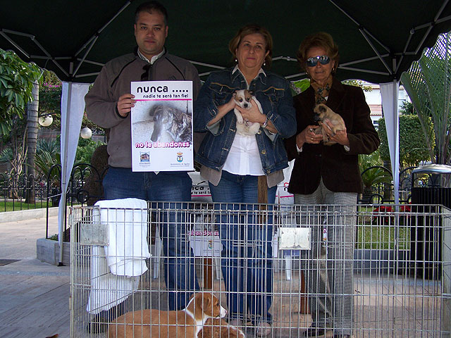El Ayuntamiento ha iniciado hoy una campaña de información y concienciación sobre el abandono de animales de compañía - 1, Foto 1