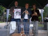 El Ayuntamiento ha iniciado hoy una campaña de informacin y concienciacin sobre el abandono de animales de compaña