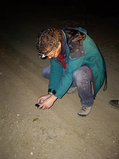 Voluntarios de ANSE trabajan para mejorar el conocimiento de la biodiversidad en la cuenca hidrográfica del Segura - 2, Foto 2