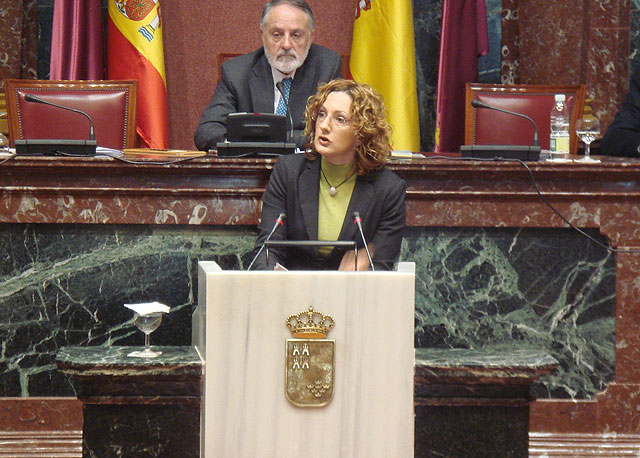 PP: El PSRM está en contra de la bajada de impuestos que plantea el Gobierno regional - 1, Foto 1