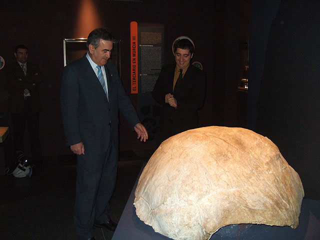 El delegado del Gobierno anuncia el hallazgo de 35 fragmentos fósiles en las obras de la autovía M-31 - 1, Foto 1