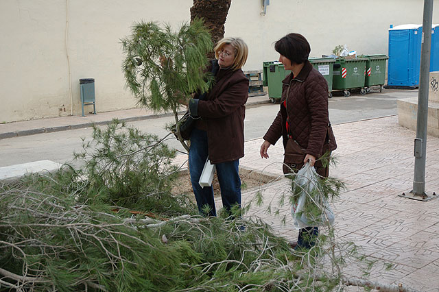 El Ayuntamiento repartirá gratuitamente ramas de pino para elaborar los árboles de navidad, Foto 1