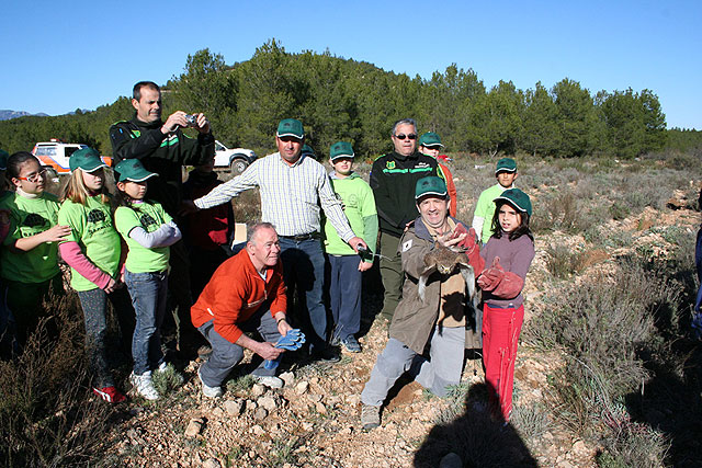 GEPNACE vuelve al monte para seguir replantando pinos - 1, Foto 1