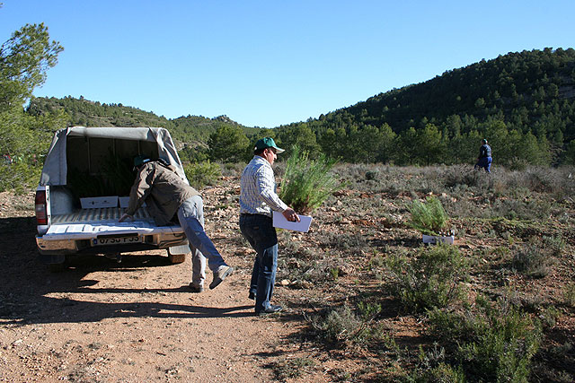 GEPNACE vuelve al monte para seguir replantando pinos - 2, Foto 2