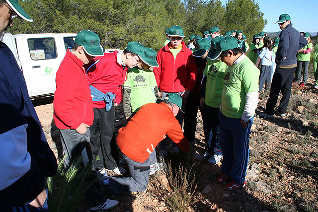 GEPNACE vuelve al monte para seguir replantando pinos - 3, Foto 3