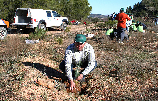GEPNACE vuelve al monte para seguir replantando pinos - 5, Foto 5