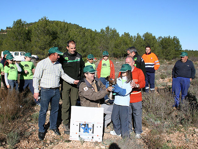GEPNACE vuelve al monte para seguir replantando pinos - 2
