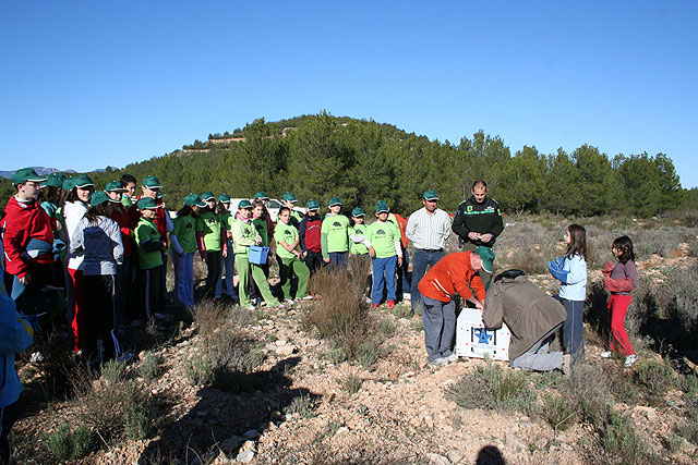 GEPNACE vuelve al monte para seguir replantando pinos - 3