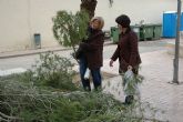 El Ayuntamiento repartirá gratuitamente ramas de pino para elaborar los árboles de navidad