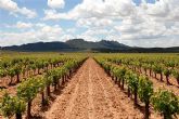 Agricultura anima al sector vitivincola a sumarse al sistema comunitario de gestin y auditora medioambiental EMAS