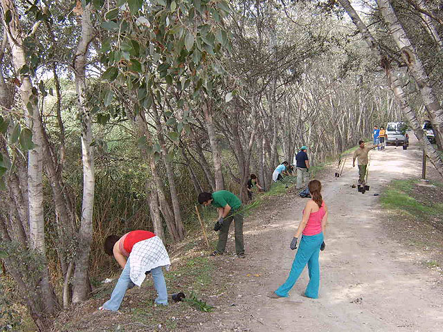 Unas 20 personas han participado en el Programa de Voluntariado Ambiental para la Conservación del Río Segura de la Concejalía de Medio Ambiente de Molina de Segura - 3, Foto 3