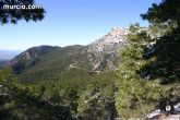 El Parque Regional de Sierra Espuña logra la certificacin forestal FSC