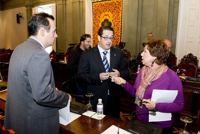 El Pleno aprueba la rebaja del BICES a las empresas - 1, Foto 1