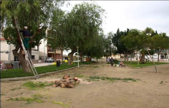 Mejorar la estética del término municipal de Santomera será uno de los objetivos prioritarios de la concejalía de Gestión del Territorio durante el presente 2009 - 2, Foto 2