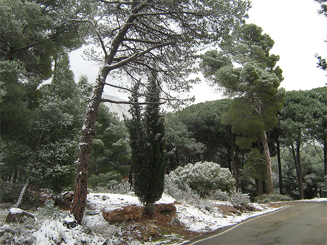 La Dirección General de Emergencias activa el nivel naranja hasta esta noche por las primeras nevadas del año en Sierra Espuña, Foto 2