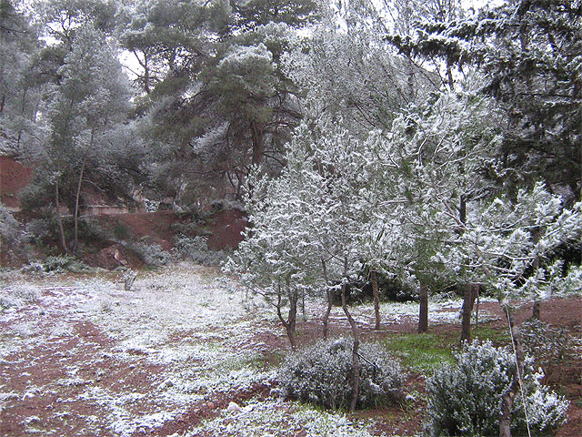 La Dirección General de Emergencias activa el nivel naranja hasta esta noche por las primeras nevadas del año en Sierra Espuña, Foto 3