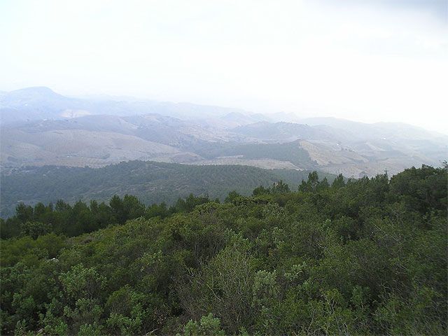 Encuentro de trabajo entre el departamento de ecología e hidrología de la Universidad de Murcia y el Ayuntamiento para crear un Atlas Ambiental de Puerto Lumbreras - 1, Foto 1