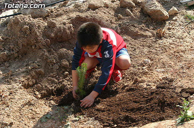 Los alumnos de las Escuelas Municipales Deportivas forestan la Ciudad Deportiva “Sierra Espuña” - 10