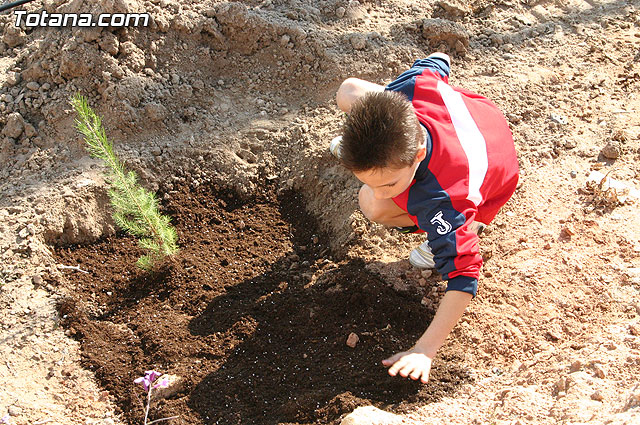 Los alumnos de las Escuelas Municipales Deportivas forestan la Ciudad Deportiva “Sierra Espuña” - 9