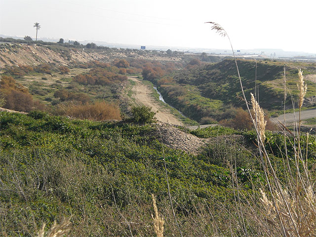 El alcalde solicita a la Confederación Hidrográfica del Segura que proceda a la limpieza y mantenimiento de la presa y la mota del río Guadalentín, Foto 1