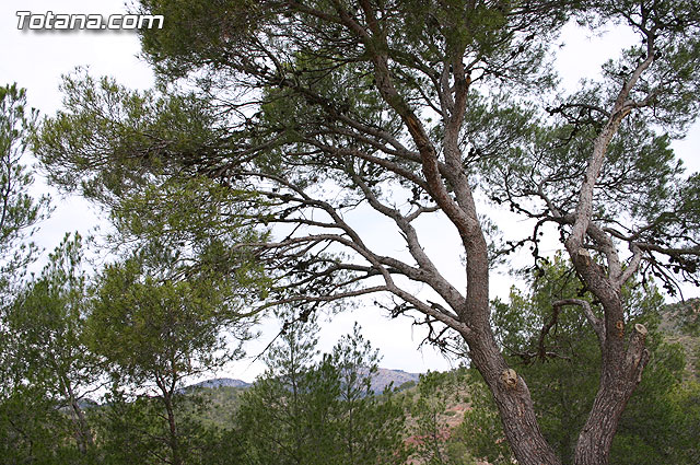 Inauguran la Escuela Taller “Casa de las Monjas I” en la que trabajarn ms de 30 alumnos durante dos años - 6