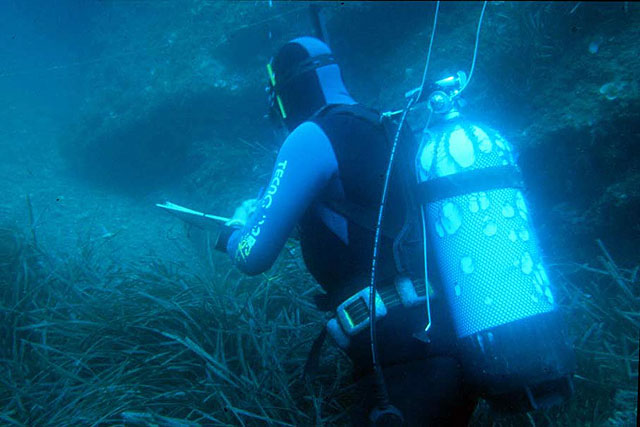 135 investigadores participan en ocho proyectos estratégicos del Plan de Ciencia y Tecnología del Gobierno regional - 1, Foto 1