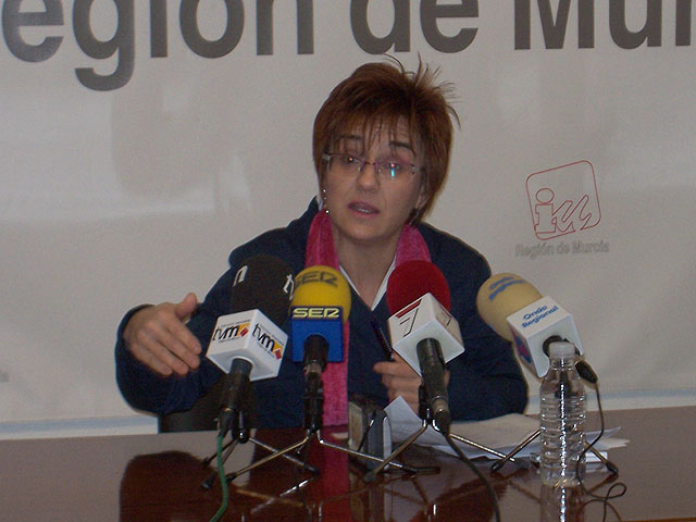 IU+Los Verdes propone la creación de un estudio sobre las necesidades de la población en materia de transporte público - 1, Foto 1