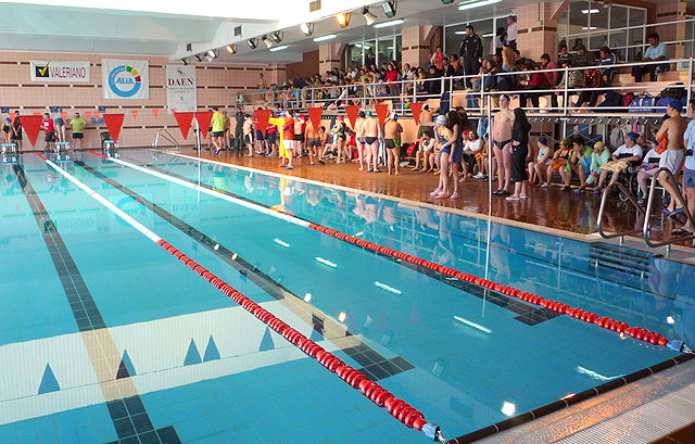 Los deportistas nadadores del centro ocupacional “José Moya” participan en el Campeonato Regional de Natación, celebrado en Lorca, Foto 1