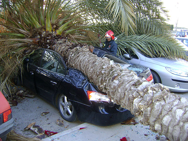 La AEMET desactiva la alerta por fuertes vientos y establece riesgo bajo - 1, Foto 1