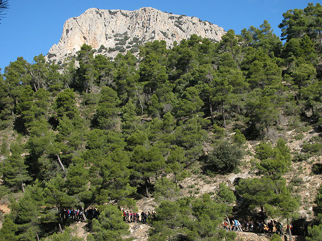 La 4ª subida al Morrón contó con la participación de más de 240 personas, Foto 3