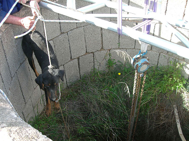 El CATAD rescata dos perros con vida de un pozo minero en El Gorguel - 1, Foto 1