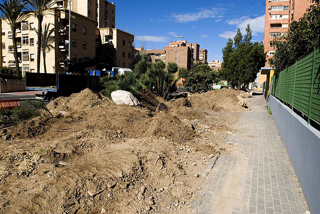 Trasladan a Severo Ochoa diversas especies protegidas de Ángel Bruna - 2, Foto 2