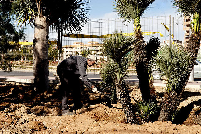 Trasladan a Severo Ochoa diversas especies protegidas de Ángel Bruna - 3, Foto 3
