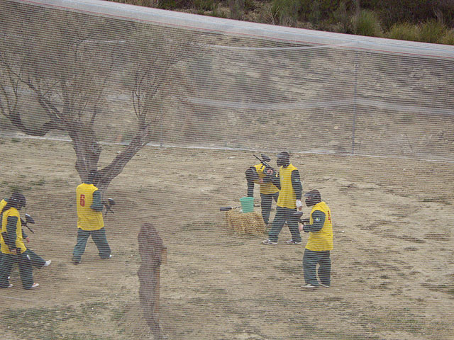 Más de 30 jóvenes alguaceños se dieron cita en el III encuentro de PaintBall - 2, Foto 2