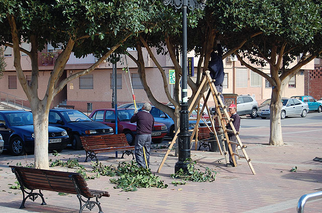 La poda de árboles asegura las zonas de ocio ante un posible temporal - 1, Foto 1