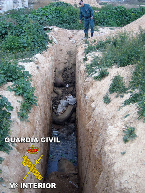 Juventudes Socialistas de Totana denuncian el cruel maltrato animal que se llevó a cabo en una granja de Totana, en la denominada Operación LECHÓN, Foto 3