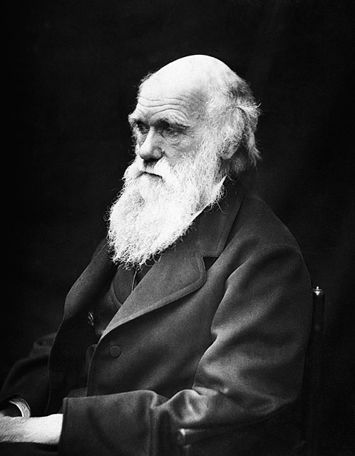 La Concejalía de Cultura celebra el 200 aniversario del nacimiento de Darwin con una charla y una exposición - 1, Foto 1